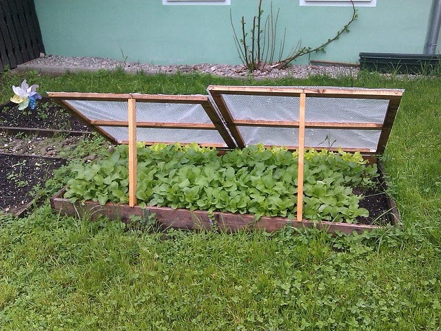 Das Frühbeet verschafft dem Hobbygärtner einen deutlichen Zeitvorteil. Sobald der schlimmste Frost vorbei ist, wird im Frühbeetkasten schon der erste Salat und das erste Gemüse angepflanzt.