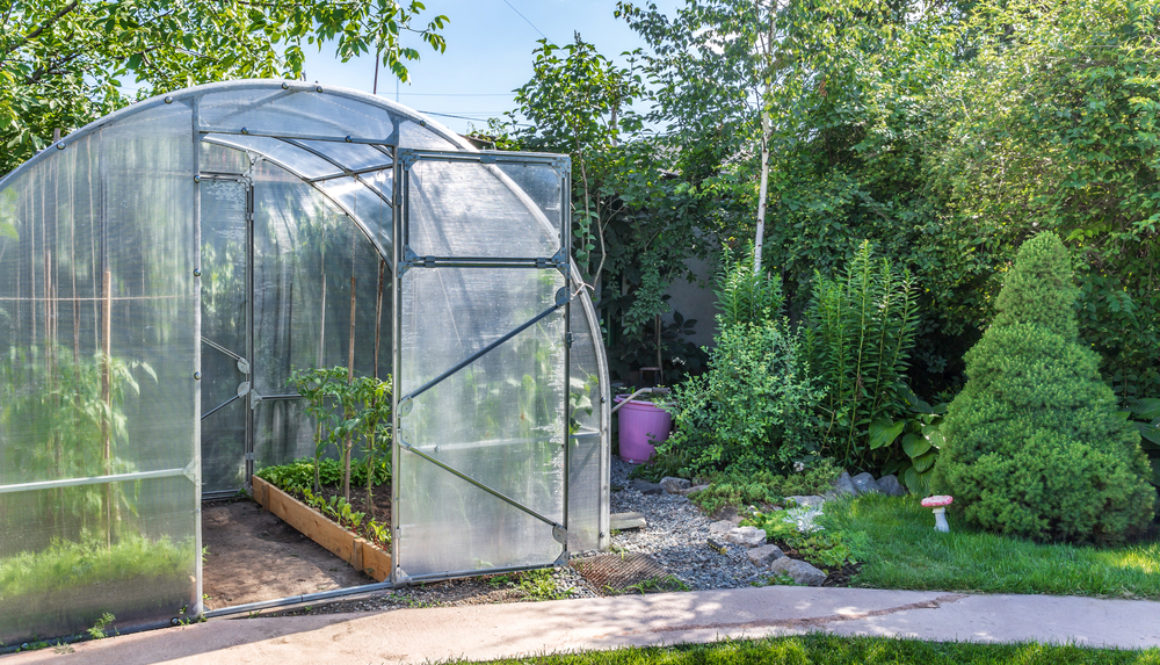 Gewächshaus im Garten